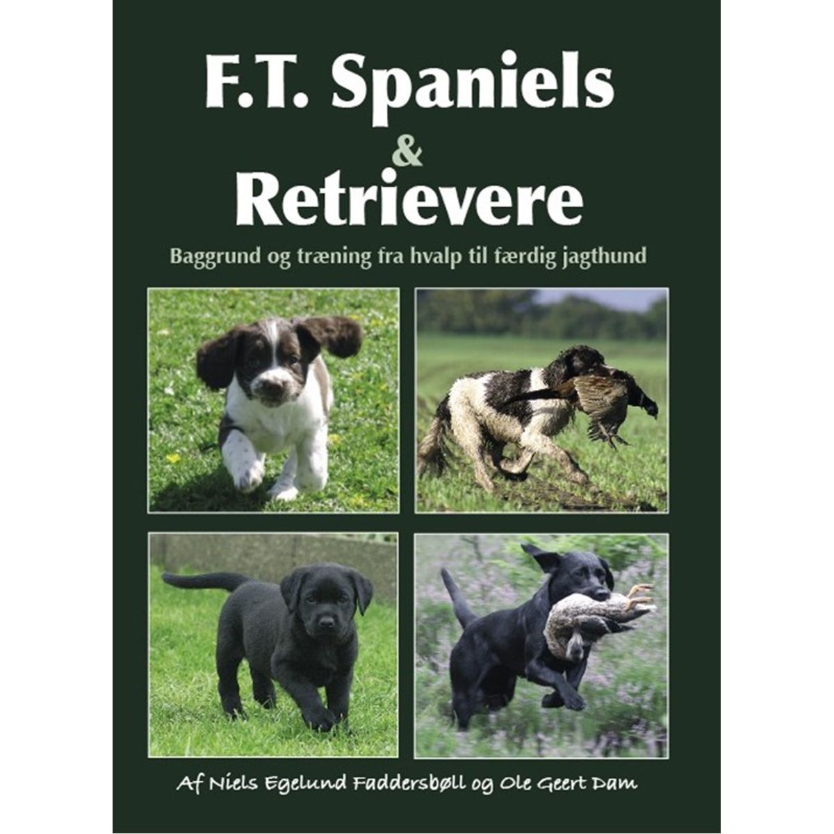 F.T. Spaniels & Retrievere