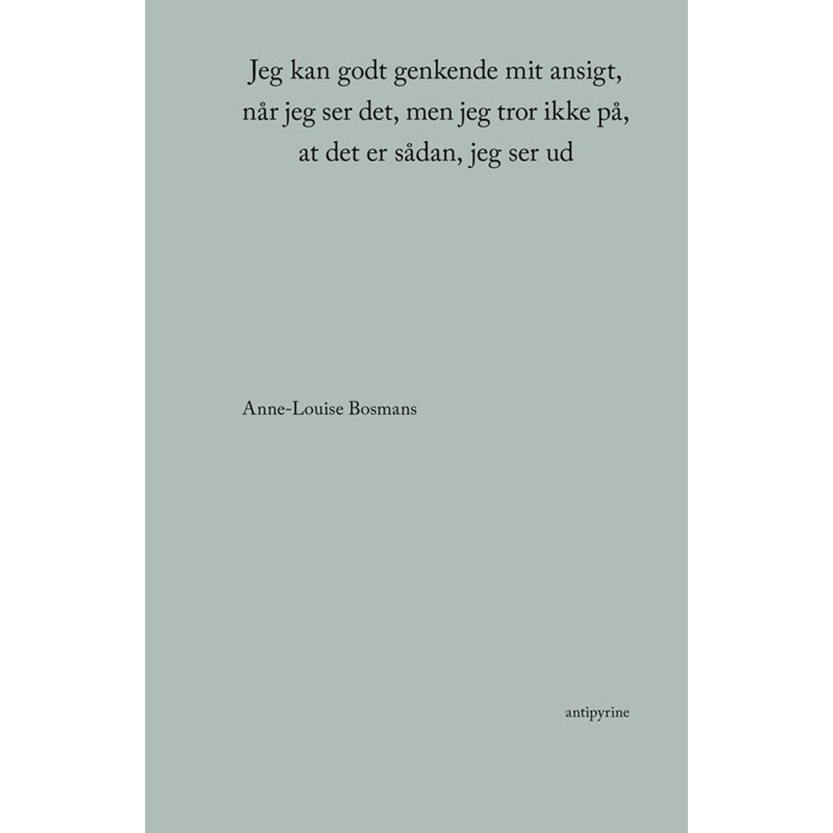 Jeg kan godt genkende mit ansigt, når jeg ser det, men jeg tror ikke på, at det er sådan, jeg ser ud