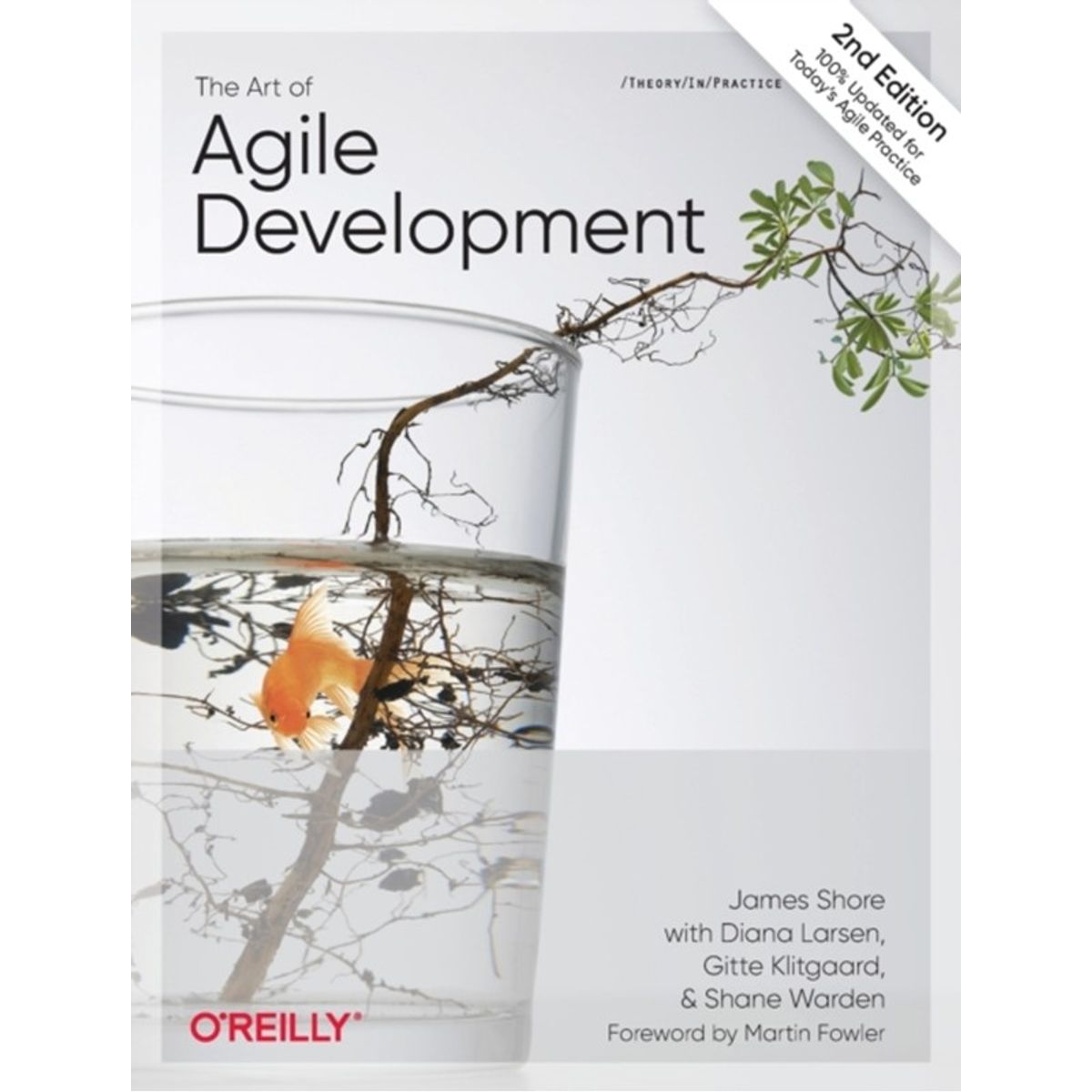 The Art of Agile Development