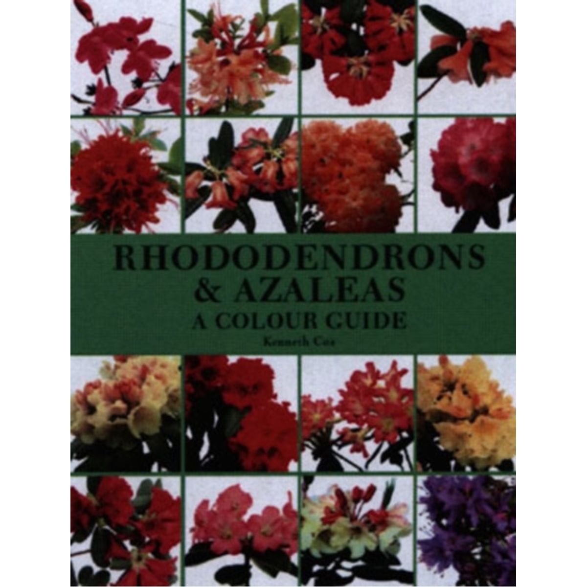 Rhododendrons and Azaleas - A Colour Guide