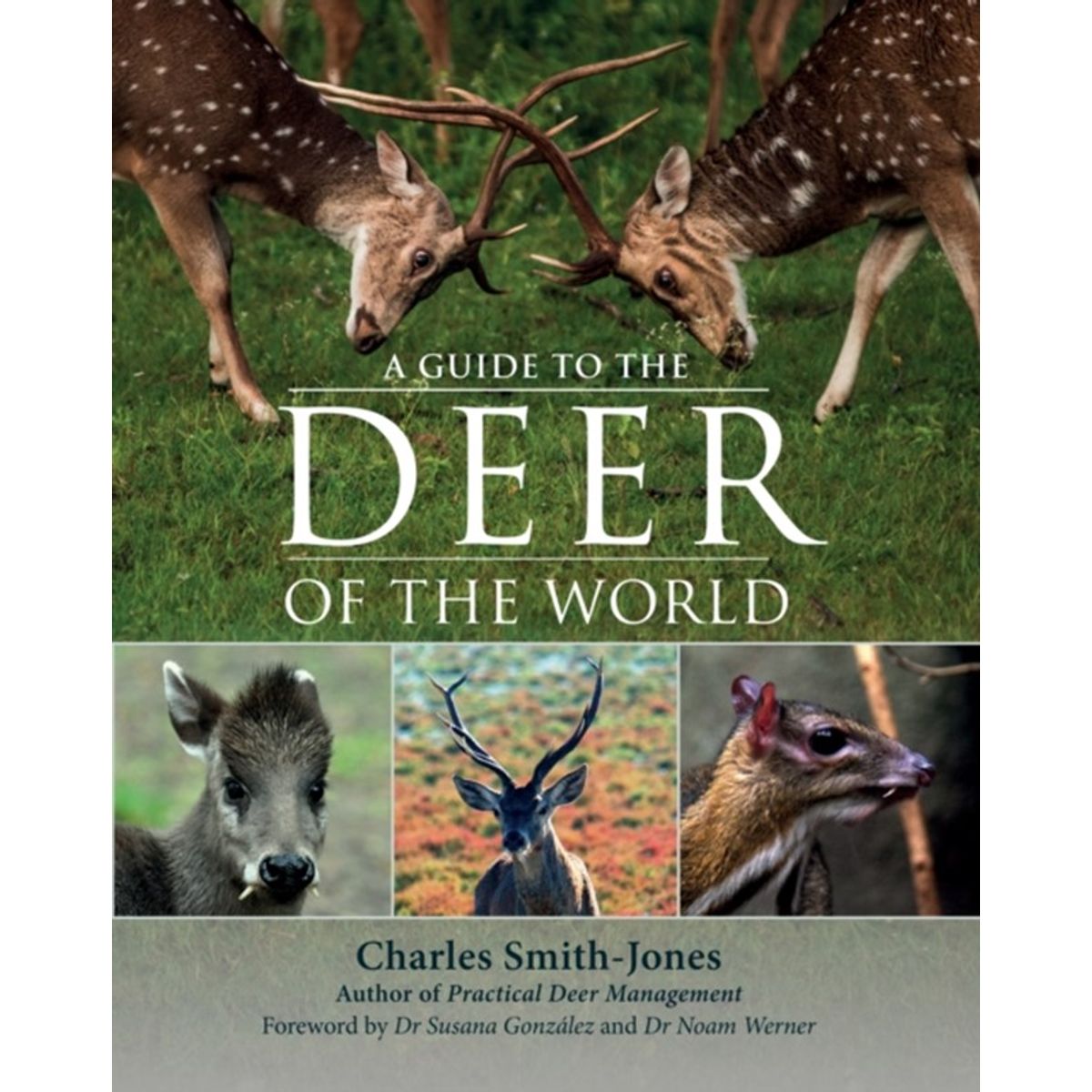 A Guide to the Deer of the World