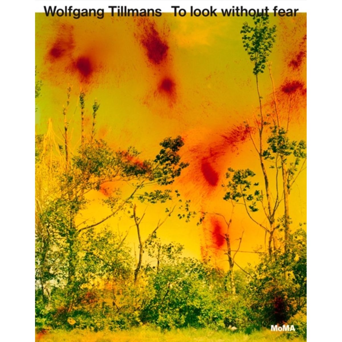 Wolfgang Tillmans: To look without fear