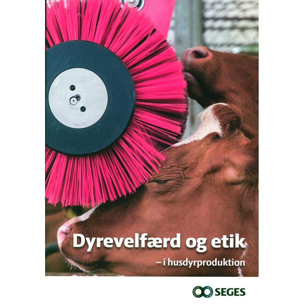 Dyrevelfærd og etik - i husdyrproduktion