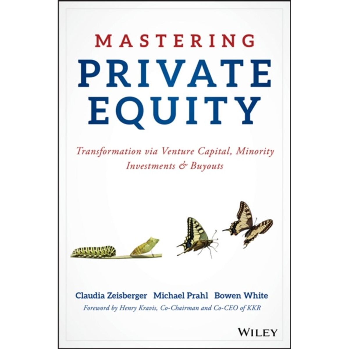 Mastering Private Equity