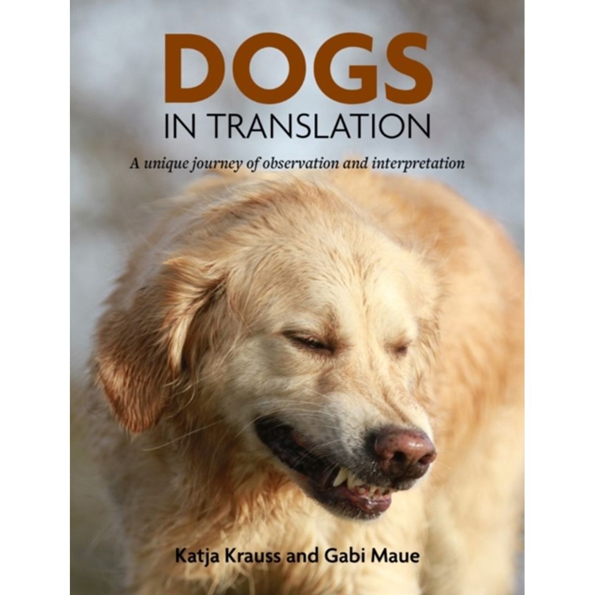 Dogs In Translation