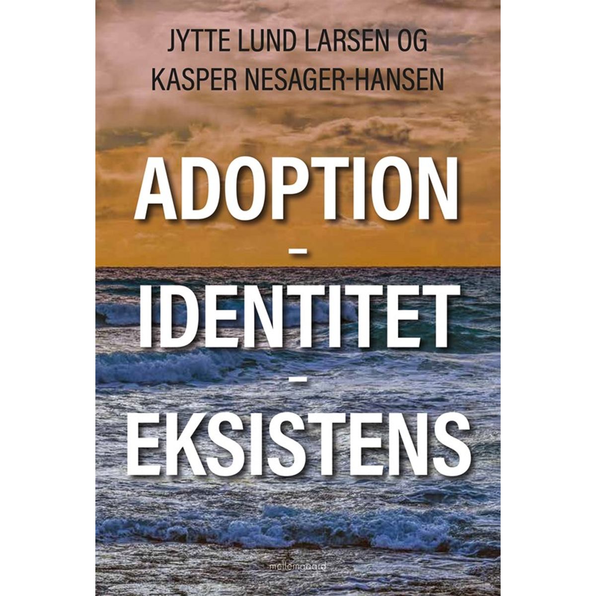 Adoption - Identitet - Eksistens