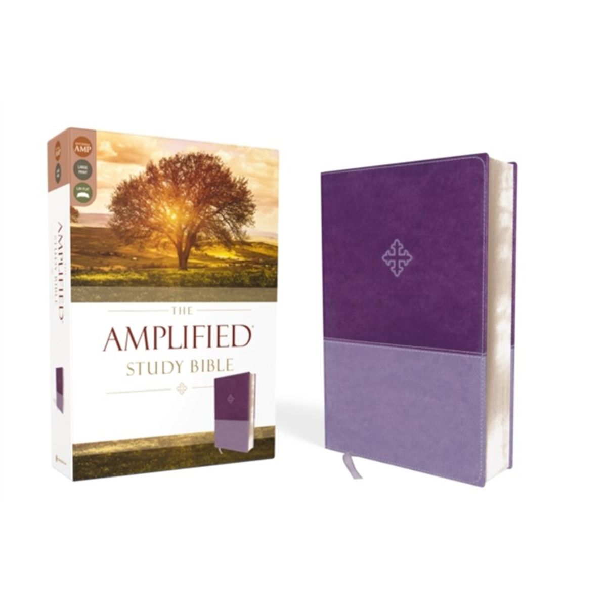 The Amplified Study Bible, Leathersoft, Purple