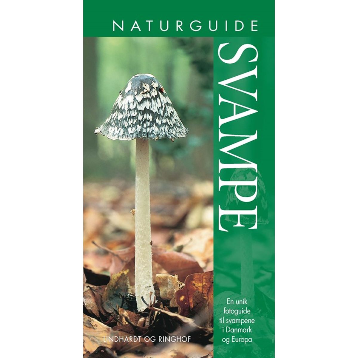 Naturguide Svampe