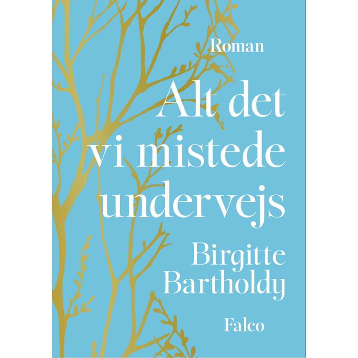 Alt det vi mistede undervejs