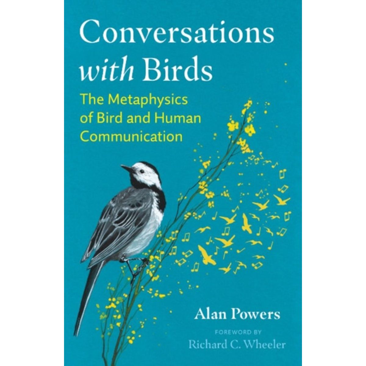 Conversations with Birds