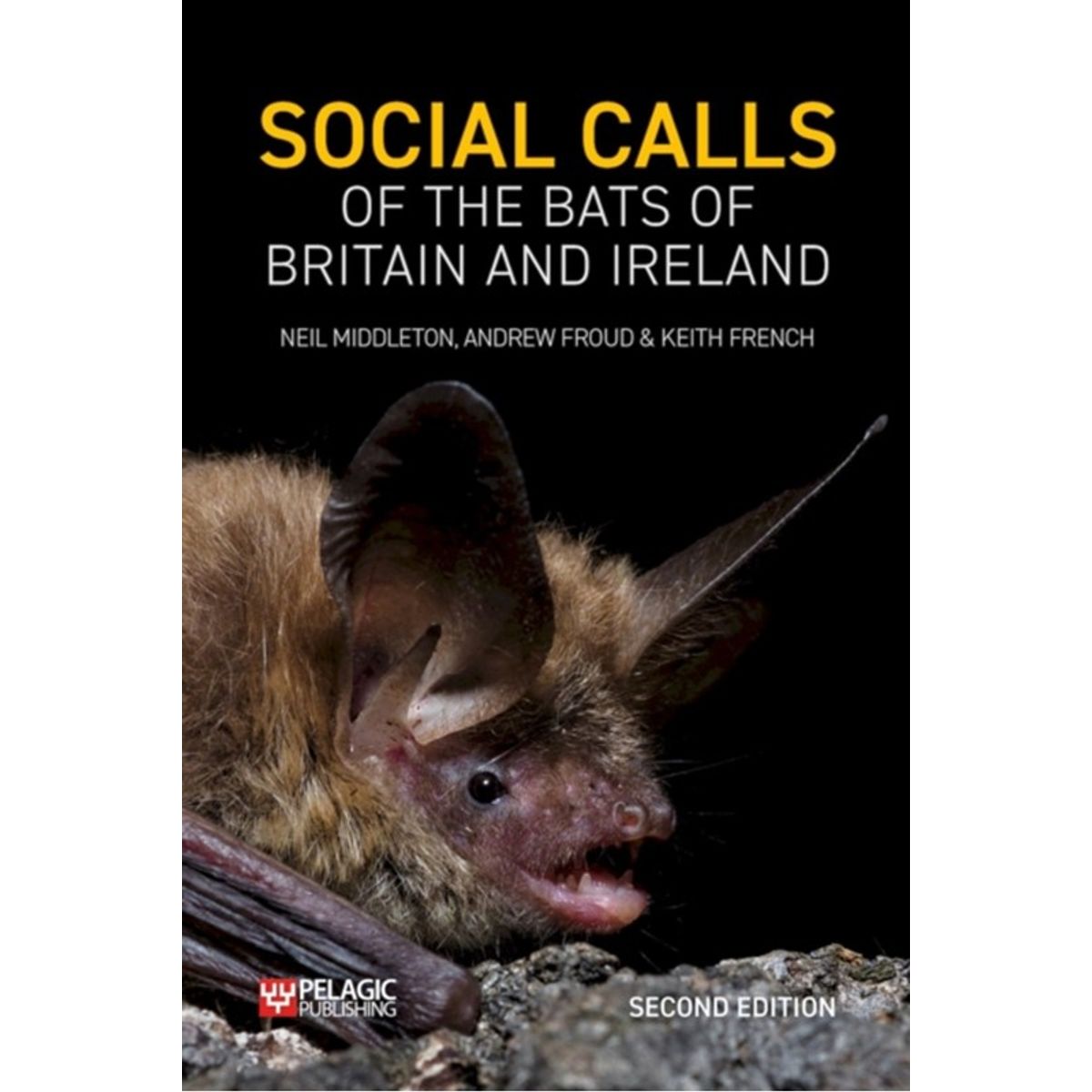 Social Calls of the Bats of Britain and Ireland