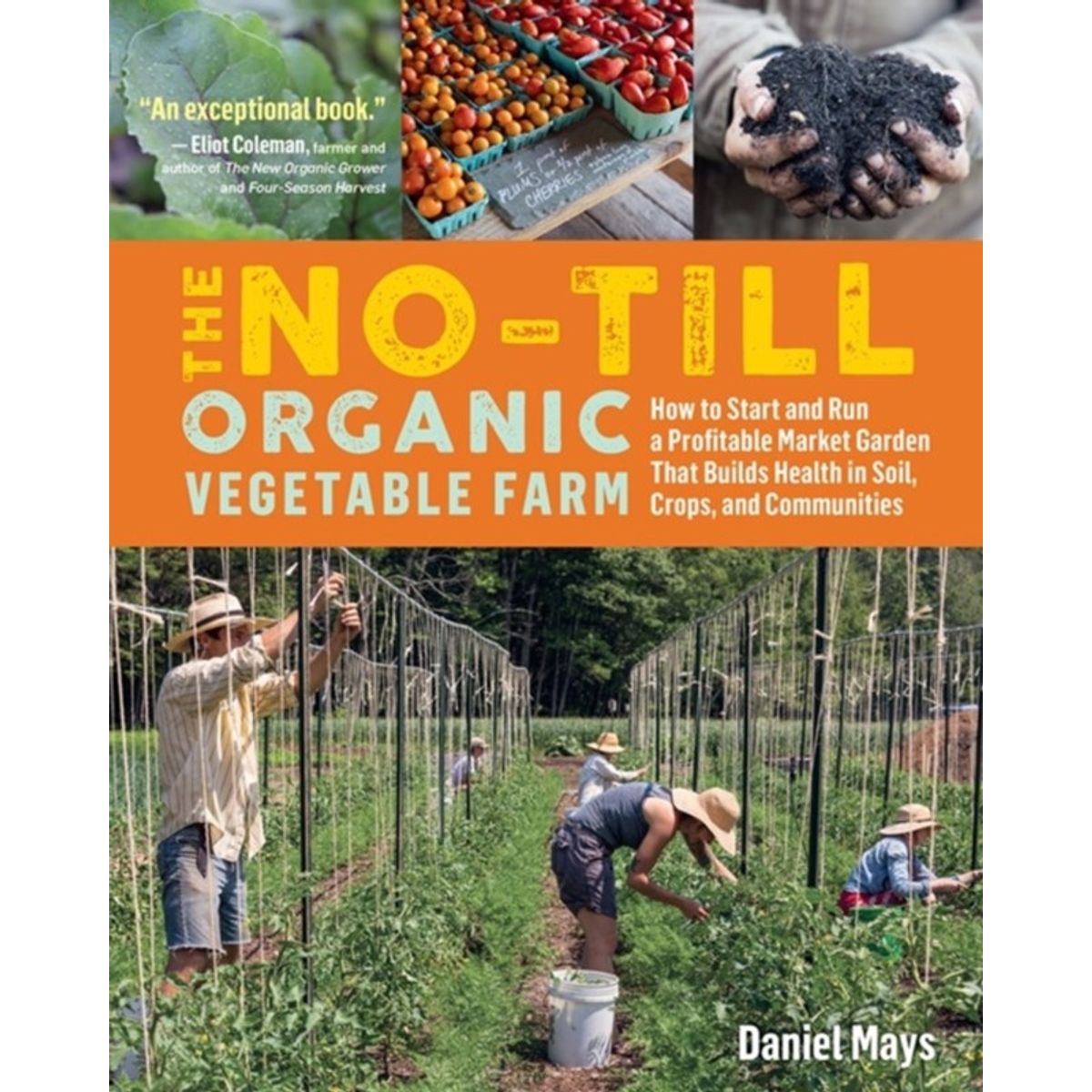 The No-Till Organic Vegetable Farm