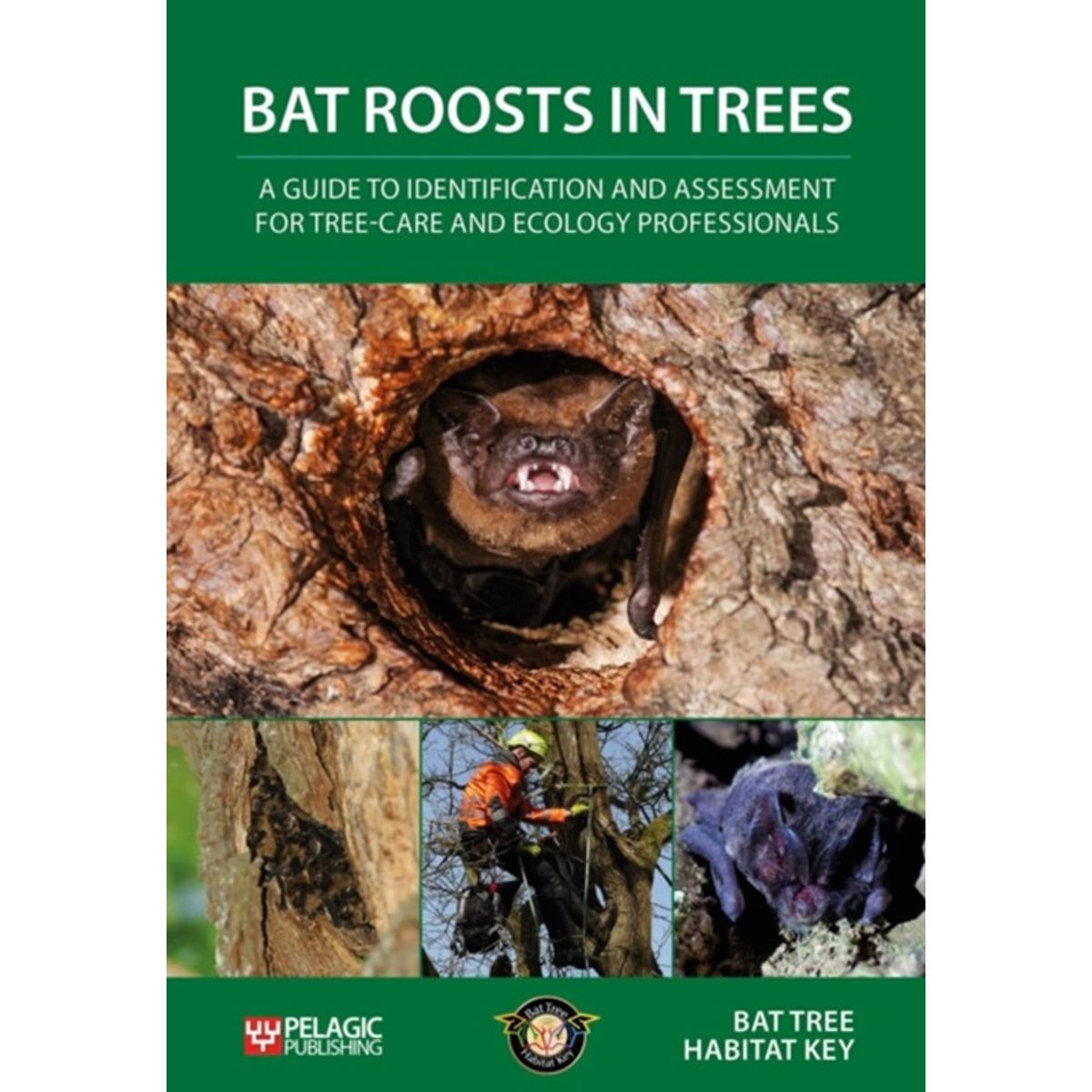 Bat Roosts in Trees