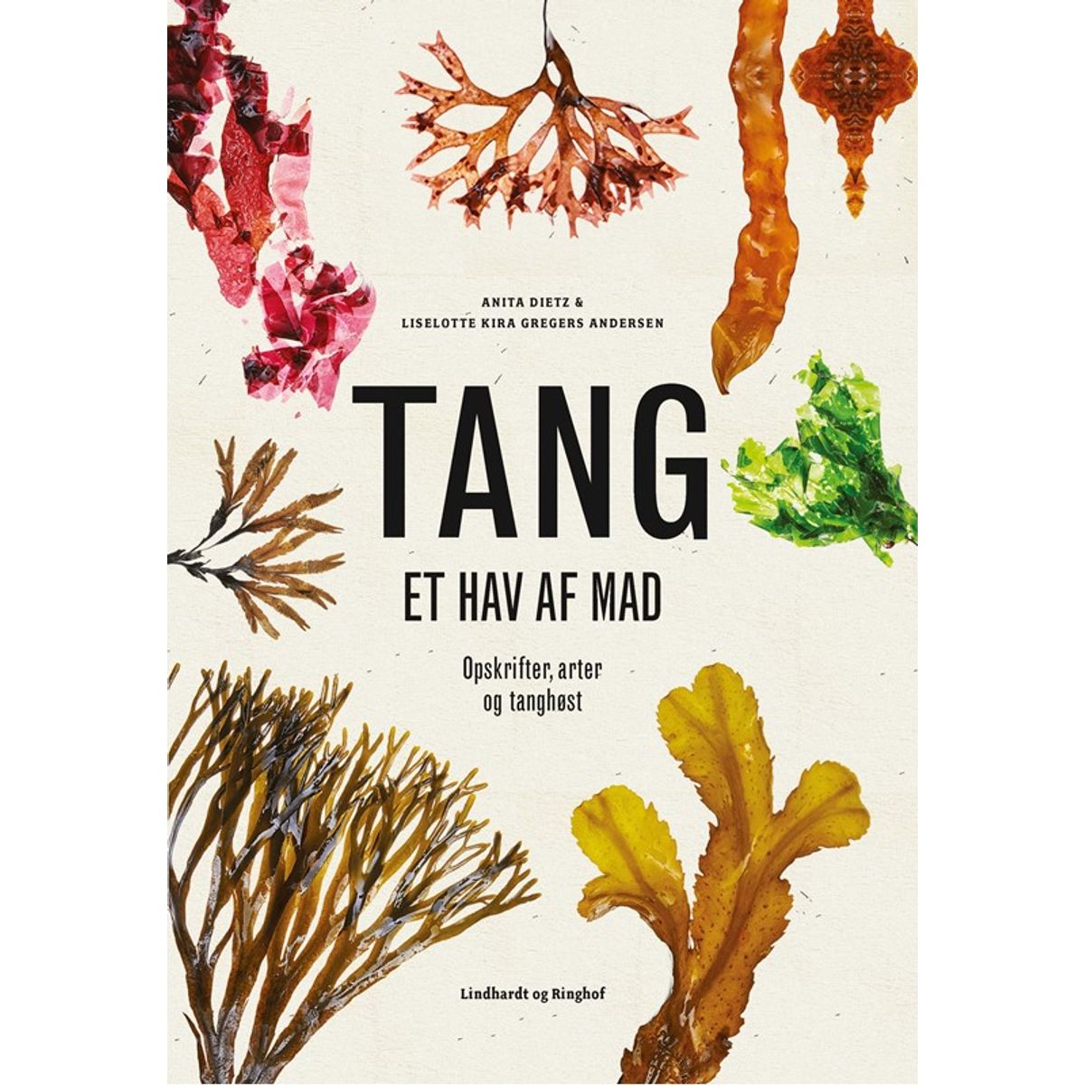 Tang