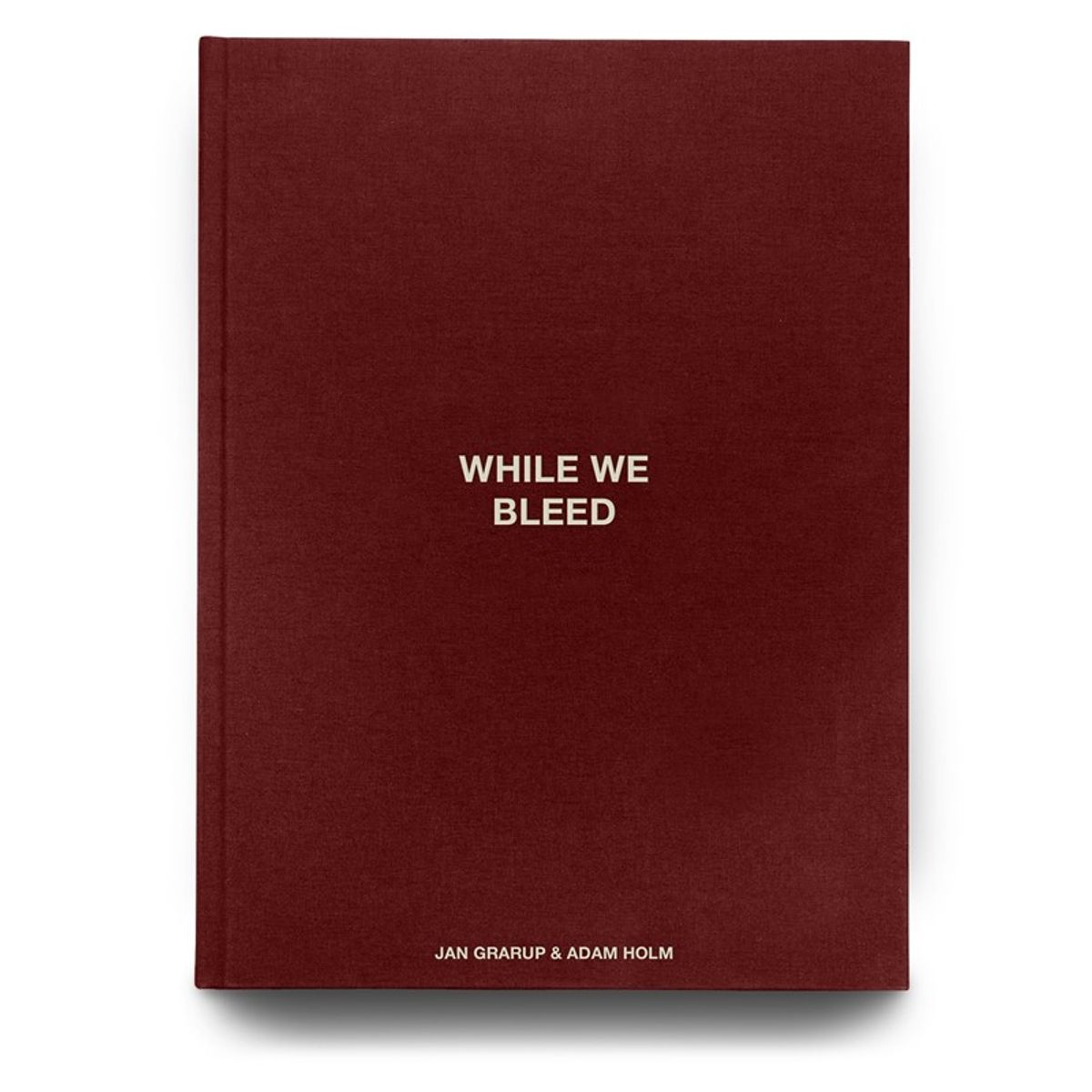 WHILE WE BLEED - English version