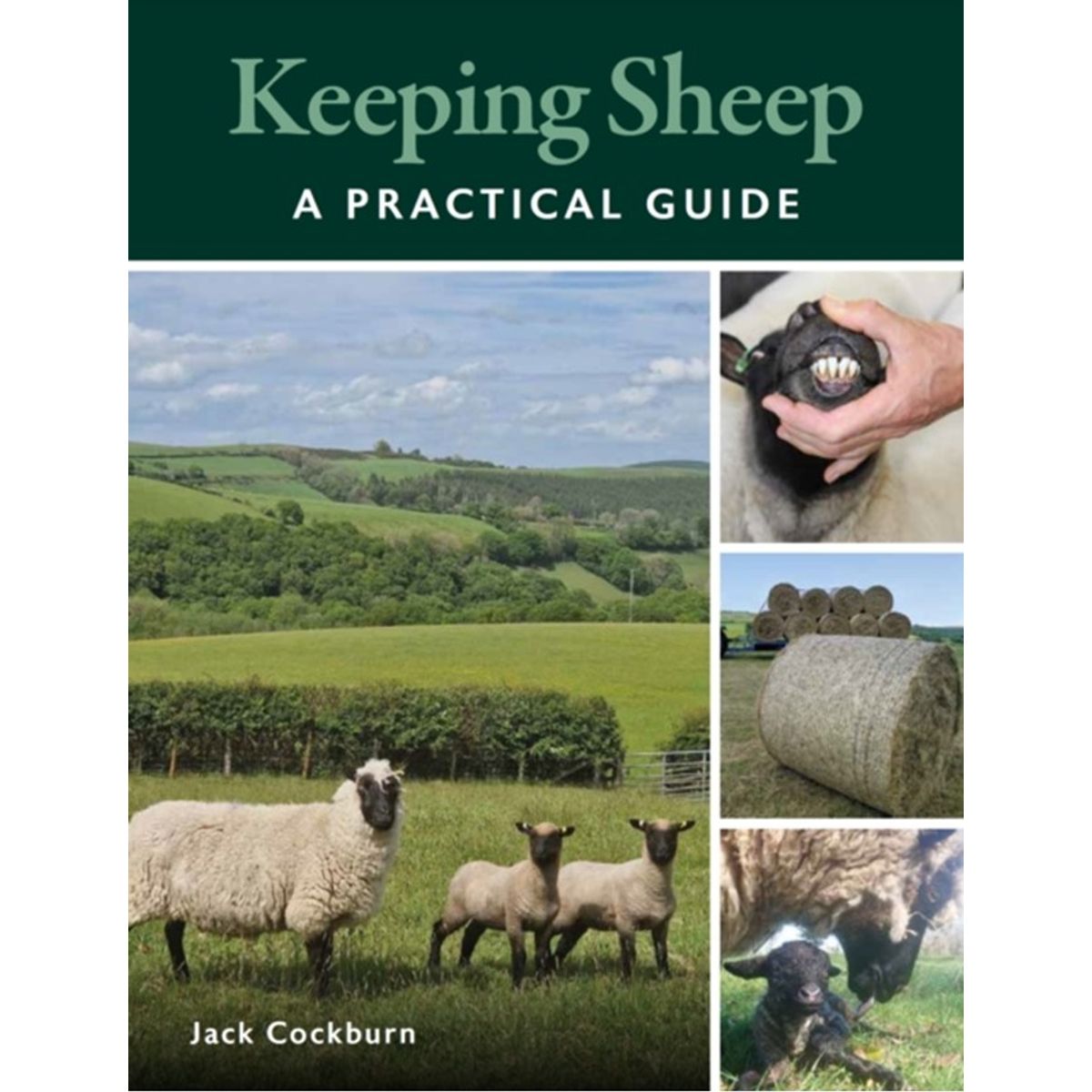 Keeping Sheep