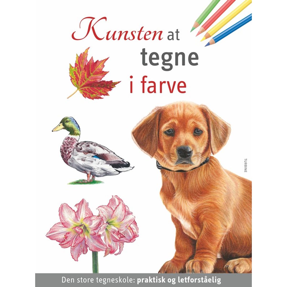 Kunsten at tegne i farve