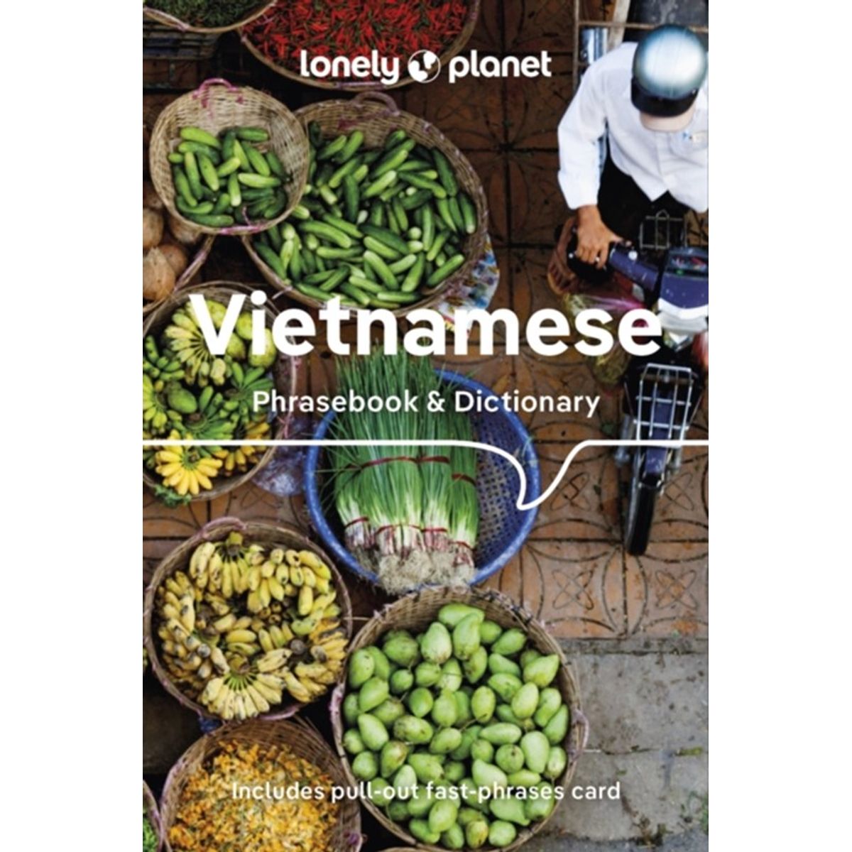 Lonely Planet Vietnamese Phrasebook & Dictionary