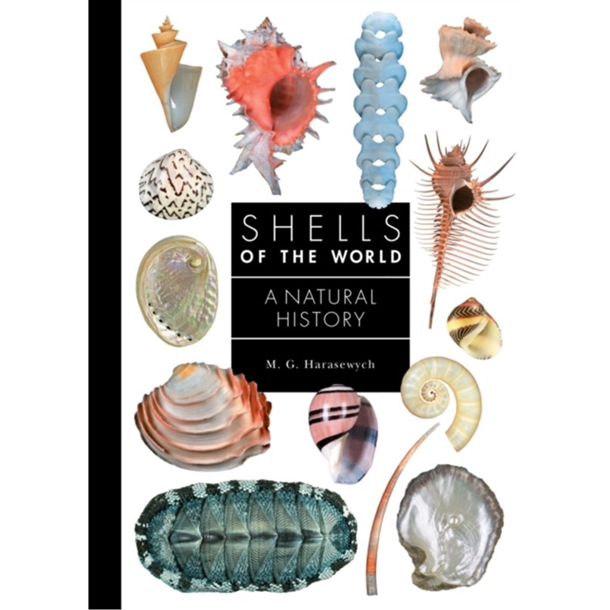 Shells of the World