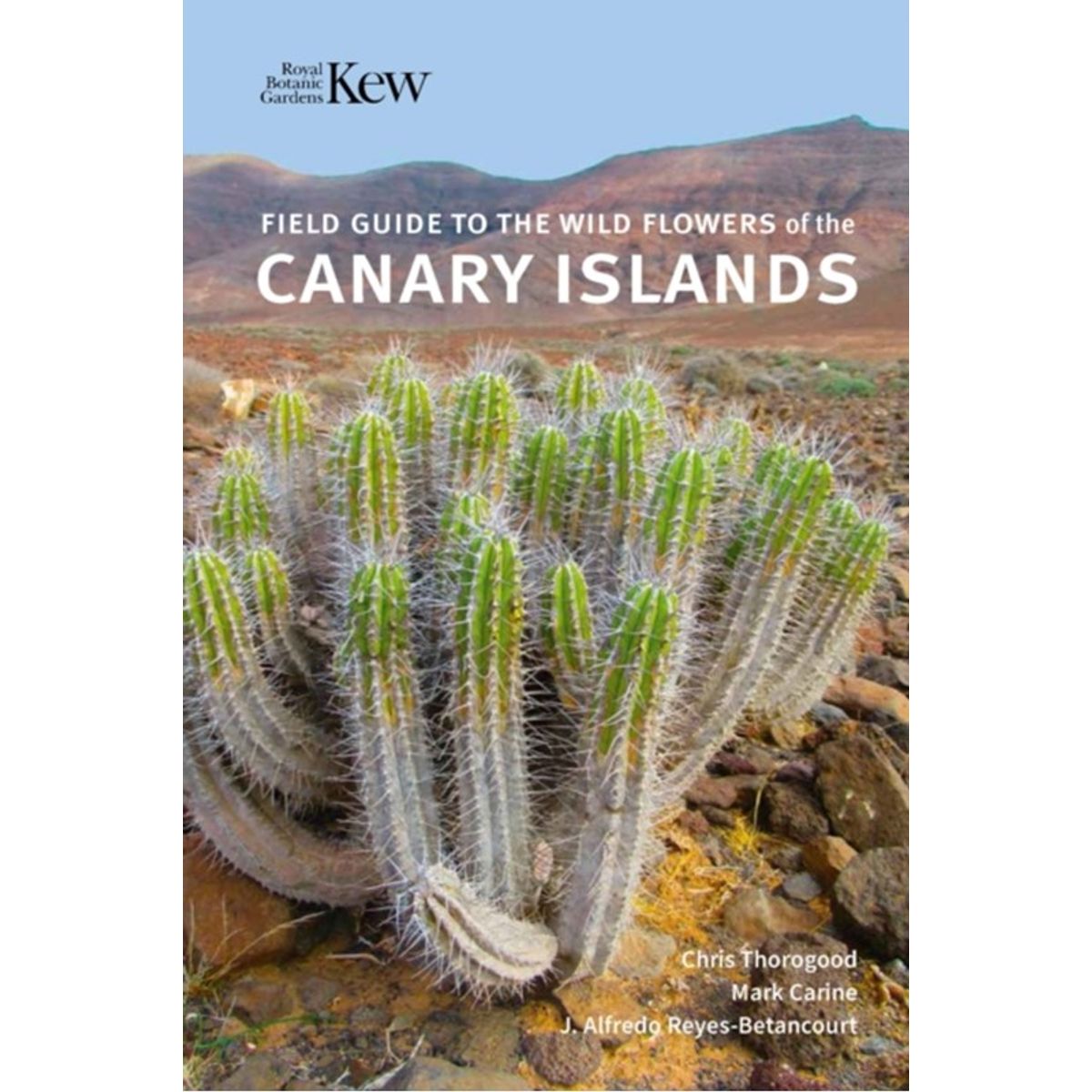 Field Guide to the Wild Flowers of the Canary Islands