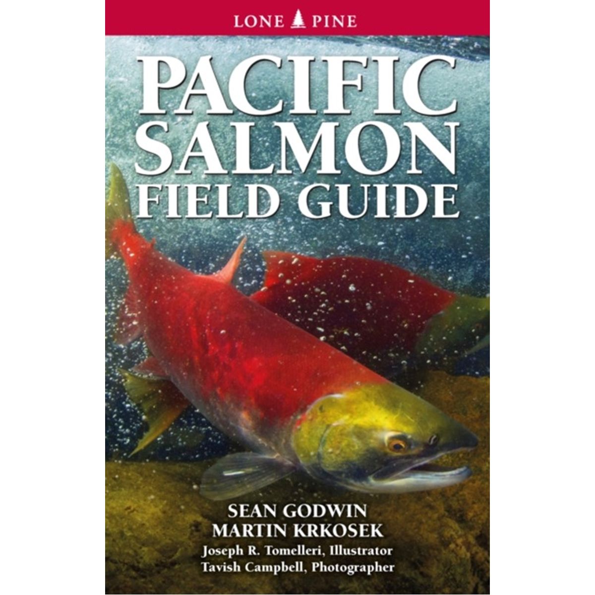 Pacific Salmon Field Guide