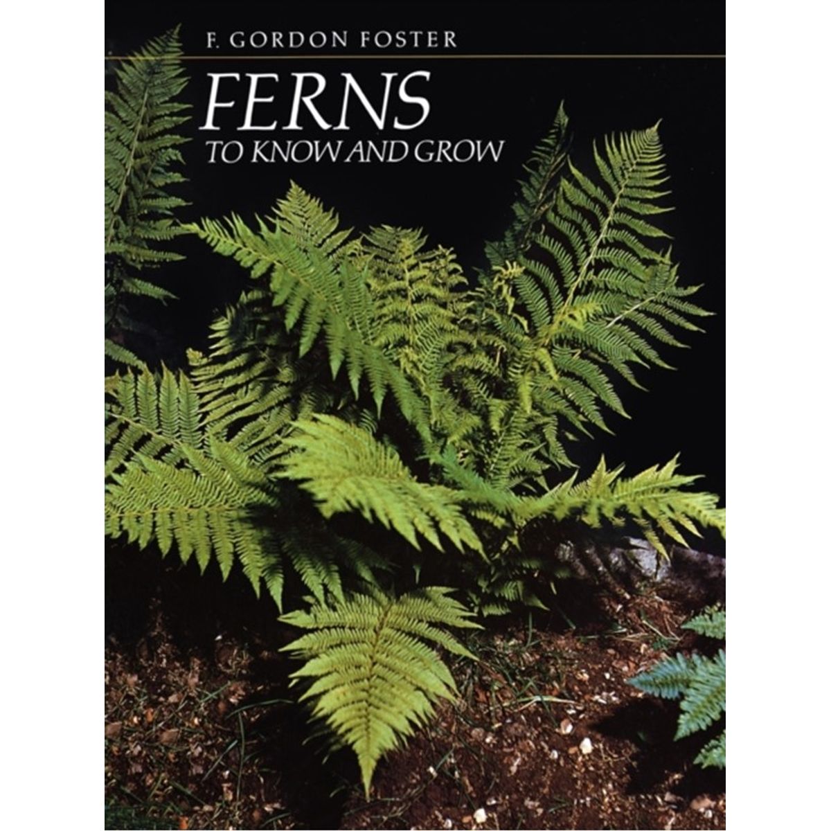 Ferns to Know and Grow