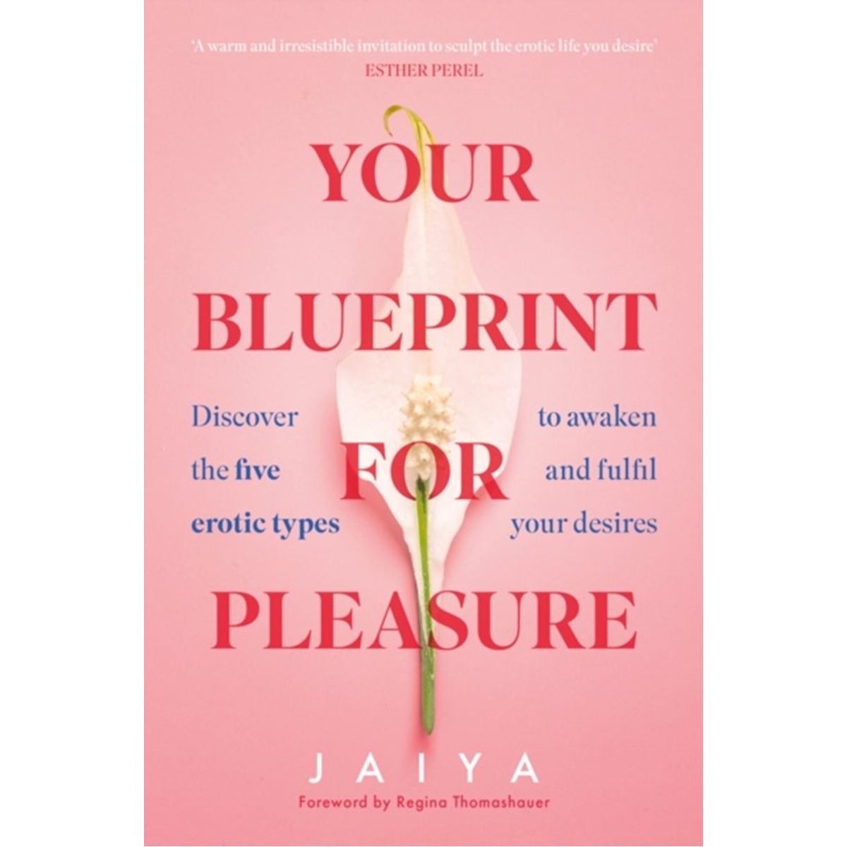 Your Blueprint for Pleasure