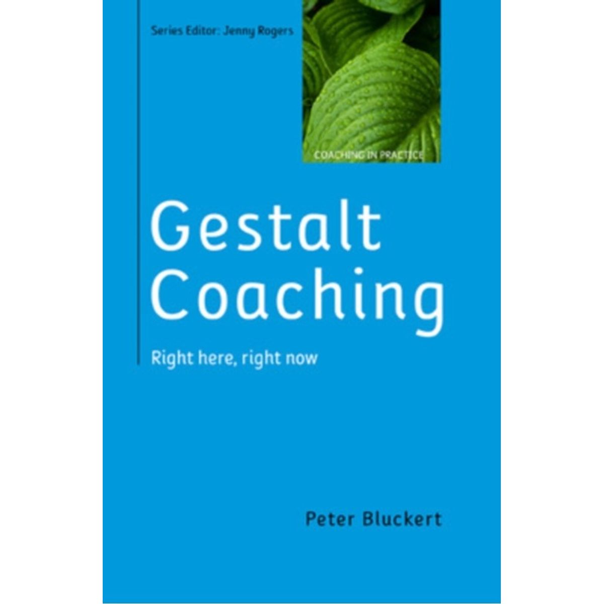 Gestalt Coaching: Right Here, Right Now