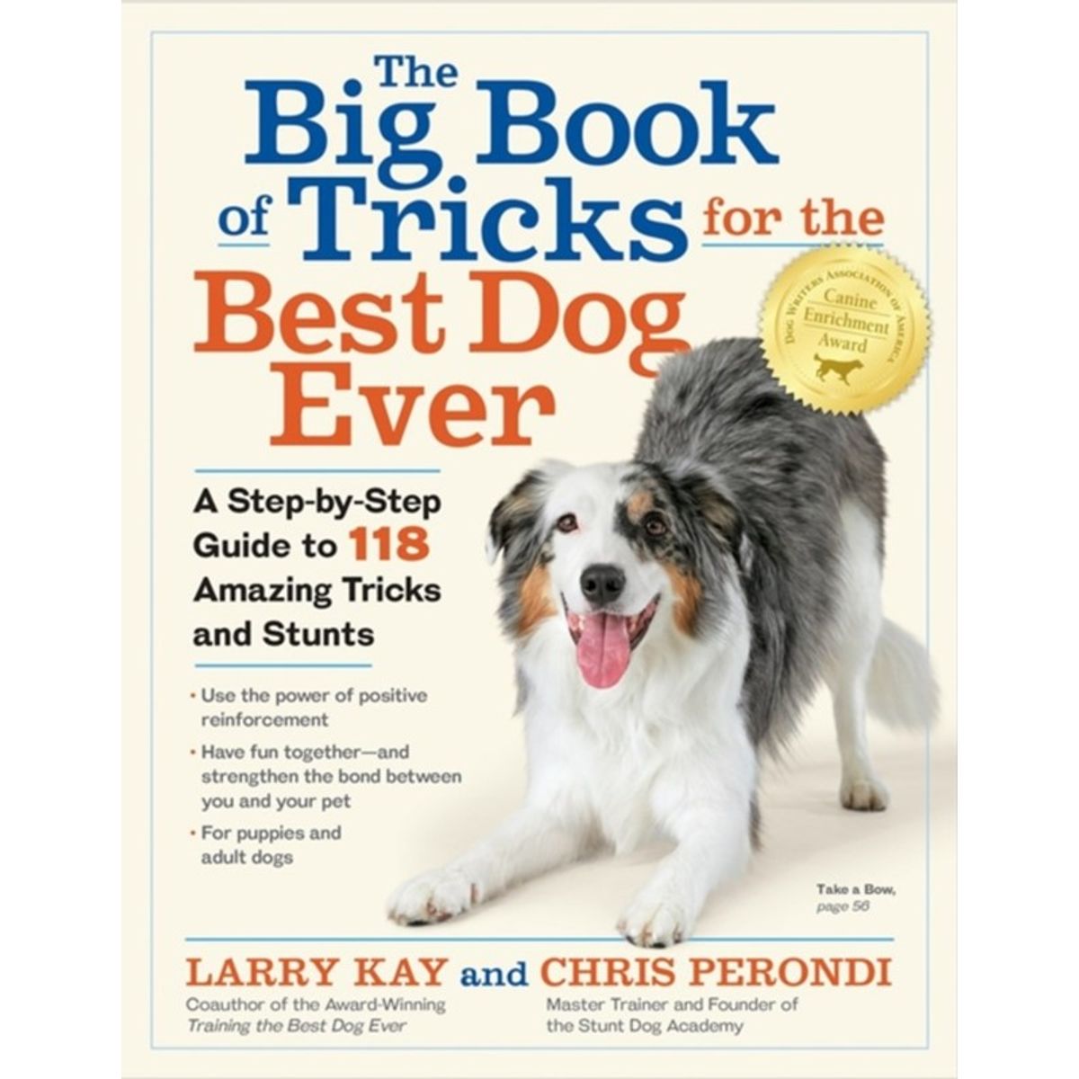 The Big Book of Tricks for the Best Dog Ever