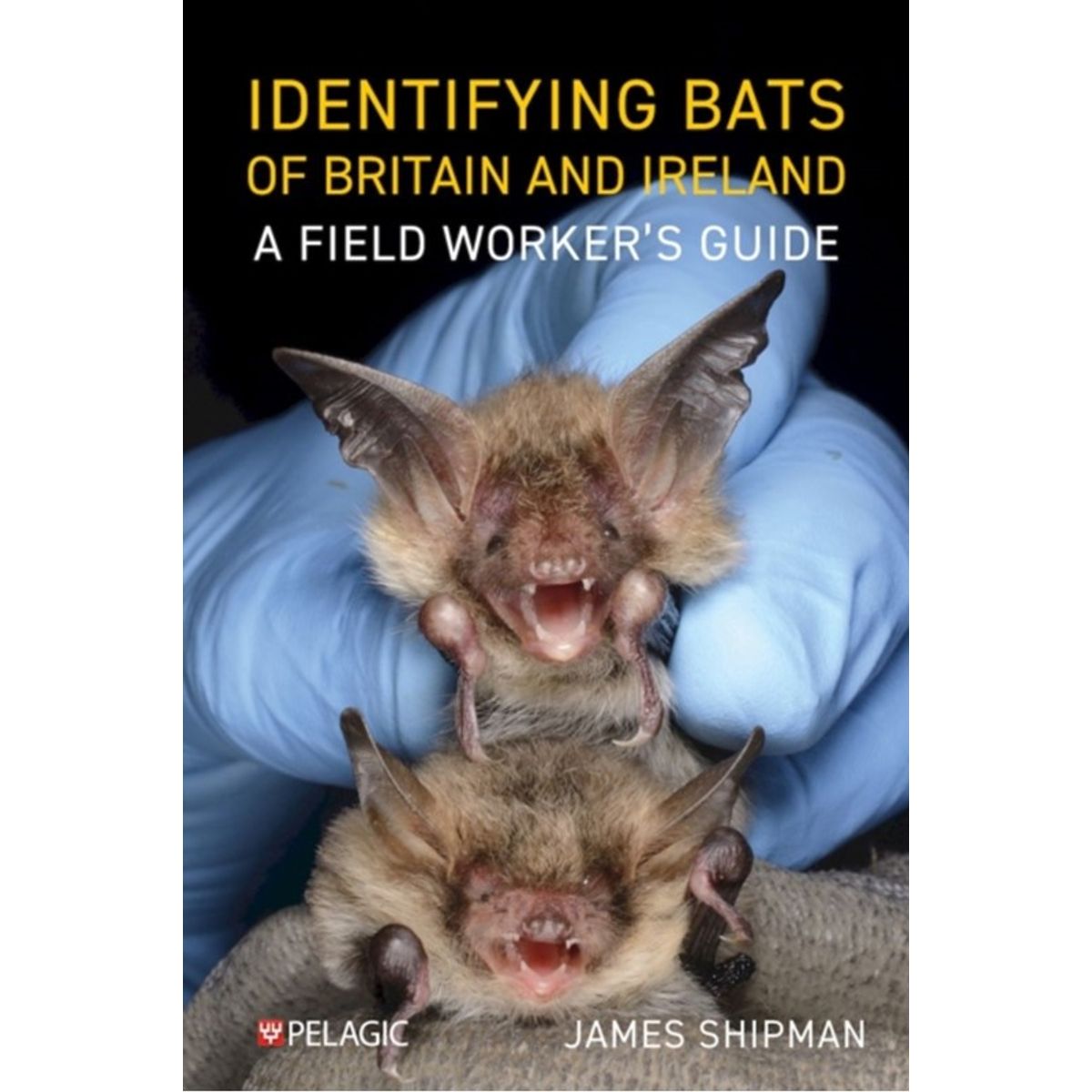 Identifying Bats of Britain and Ireland