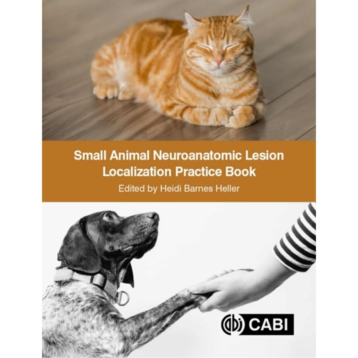 Small Animal Neuroanatomic Lesion Localization Practice Book