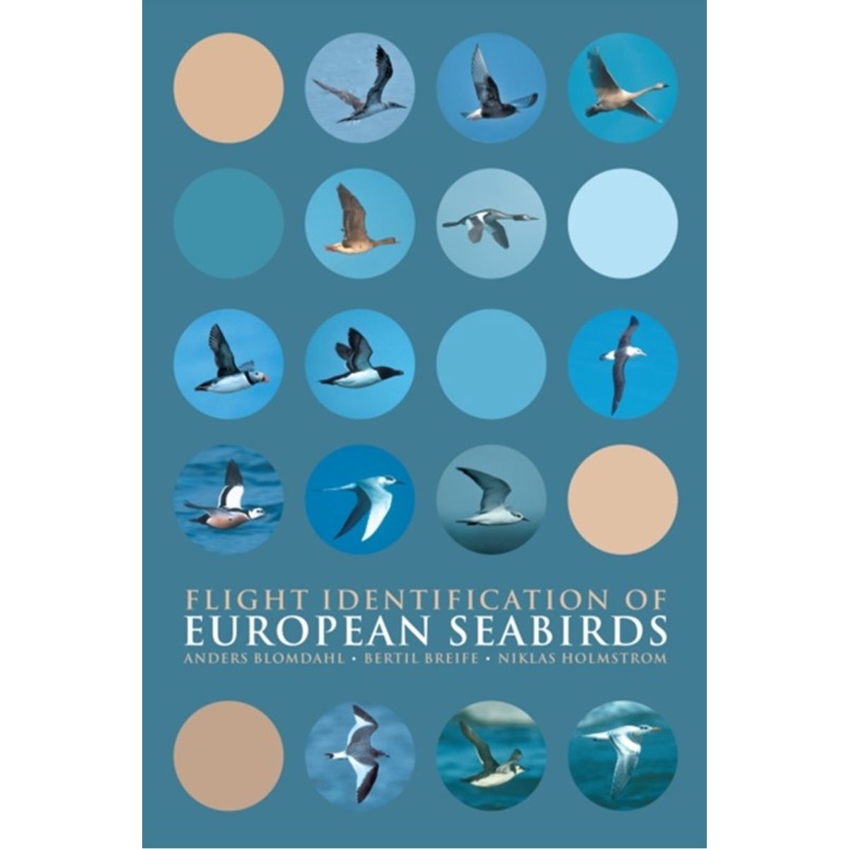 Flight Identification of European Seabirds