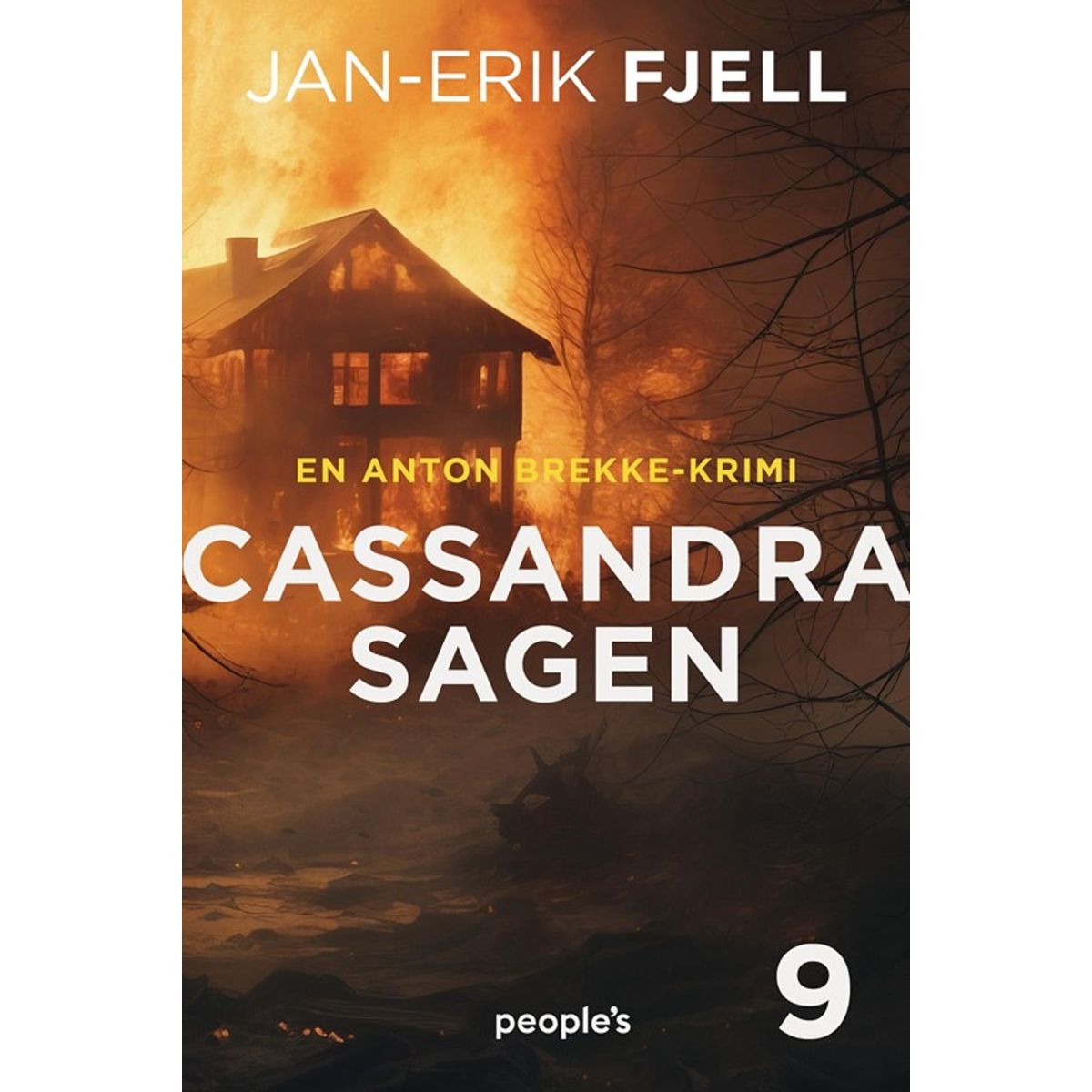 Cassandra-sagen