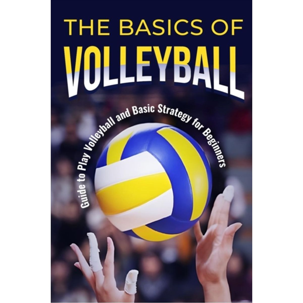 The Basics of Volleyball