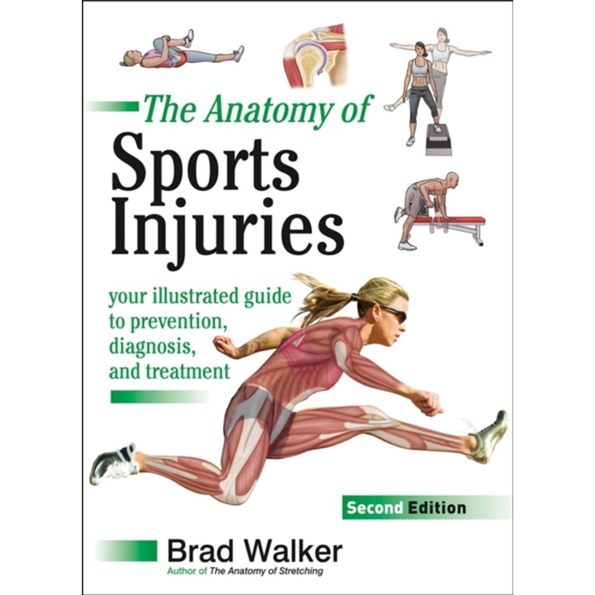 The Anatomy of Sports Injuries