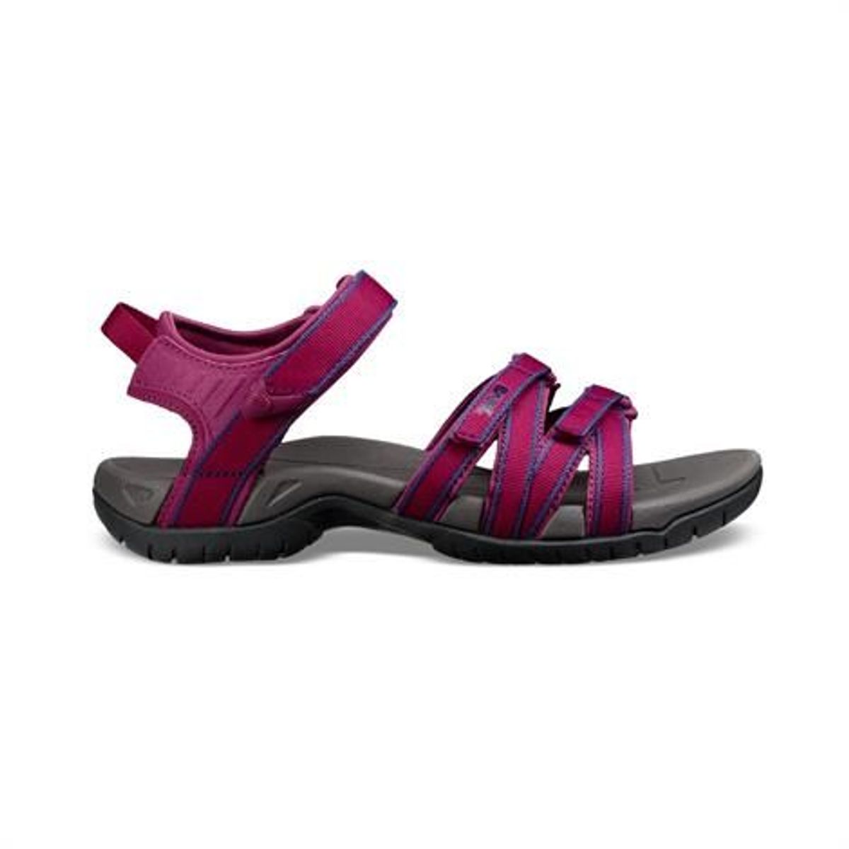 Teva Tirra Dame, Boysenberry