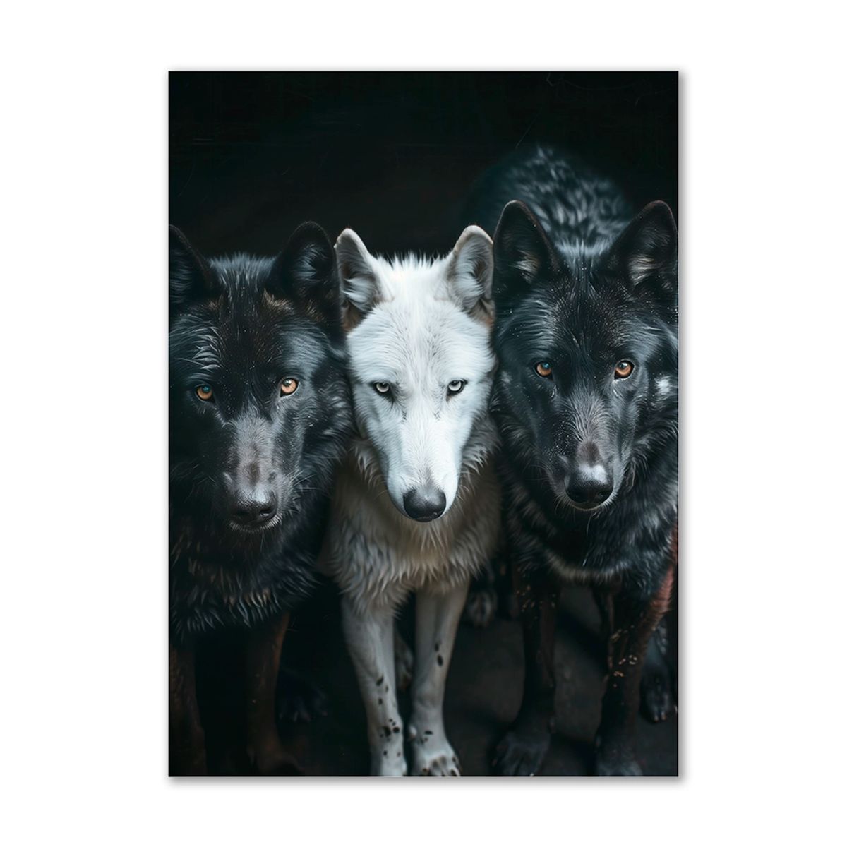 Loyal Pack - 70x100 cm. - Ingen