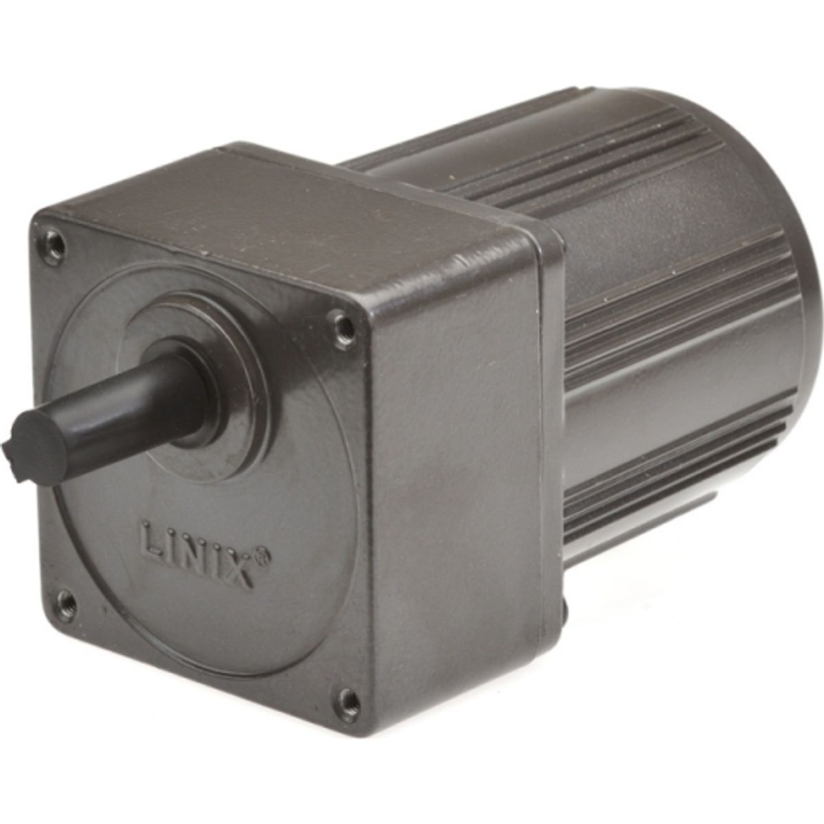 Gear motor YN80 48RPM