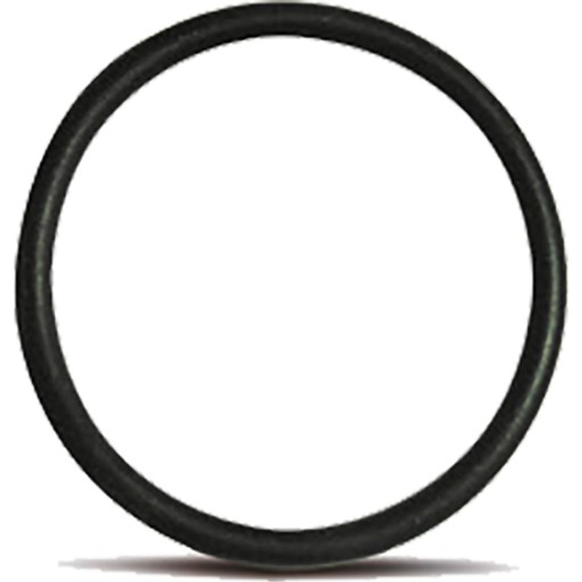 Blueseal 32 mm o-ring NBR