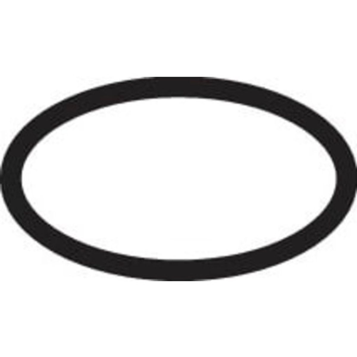 Hansgrohe O-Ring EPDM 17x1,5 mm