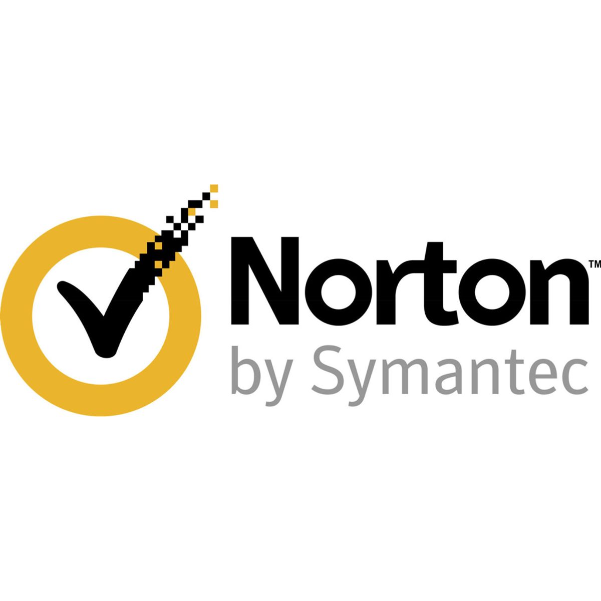 SYM Norton Sec Del ESD 3.0