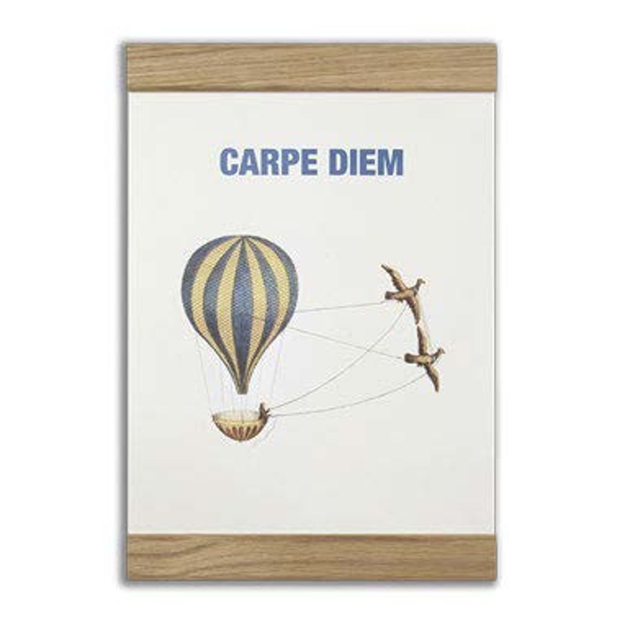 Message Earth - Carpe diem, 2-in-one