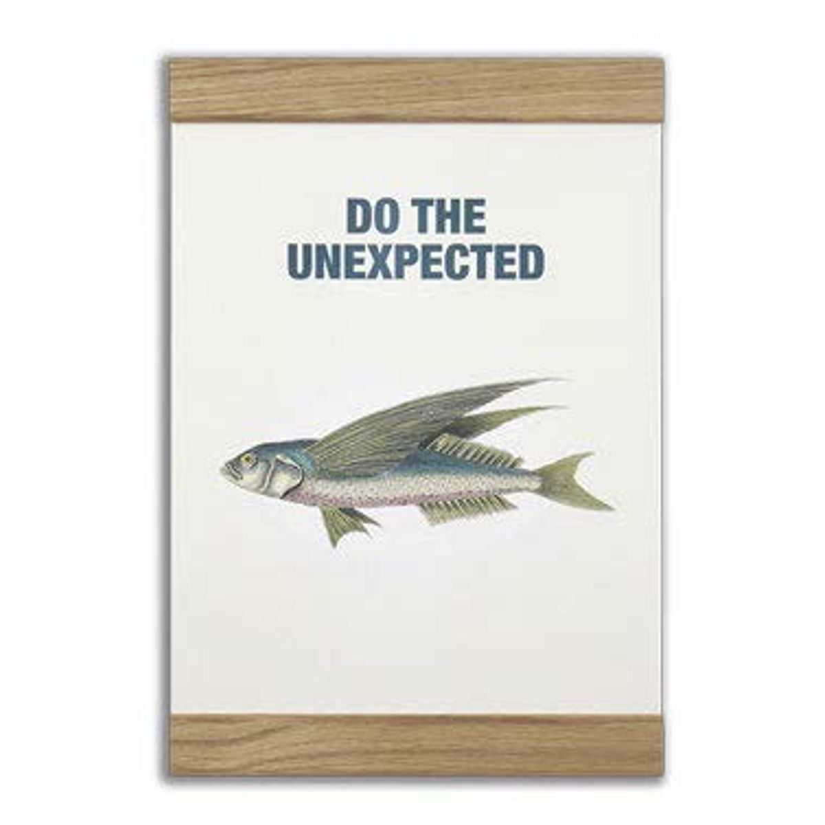 Message Earth - Do the unexpected, 2-in-one