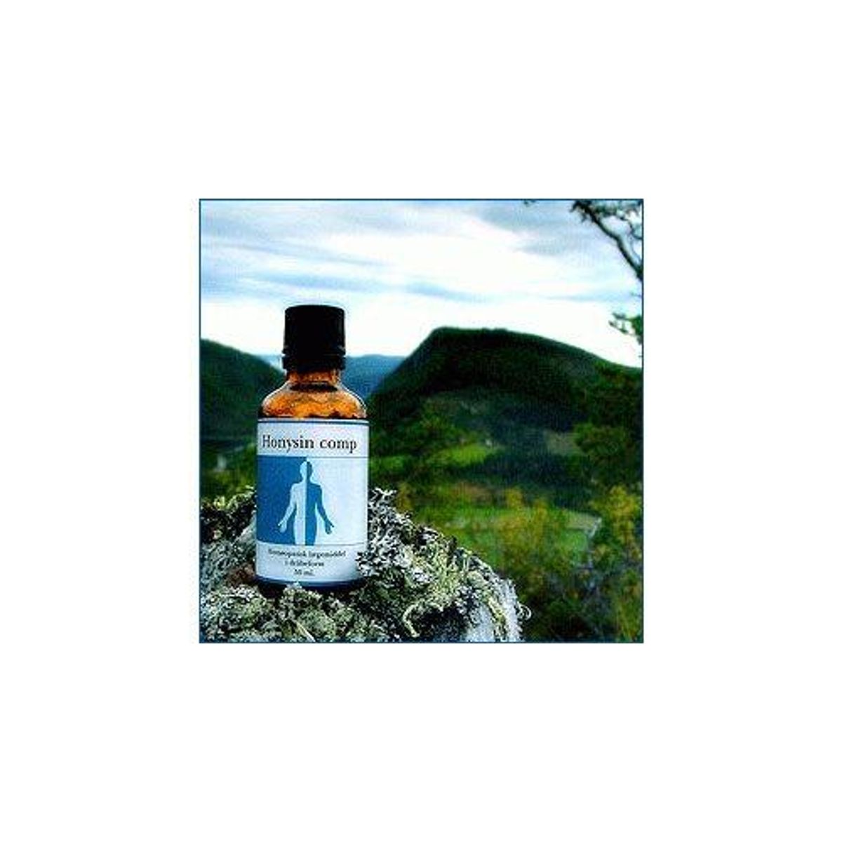 Honysin comp. - 50 ml. (U) (Holdbarhed jan 2025)