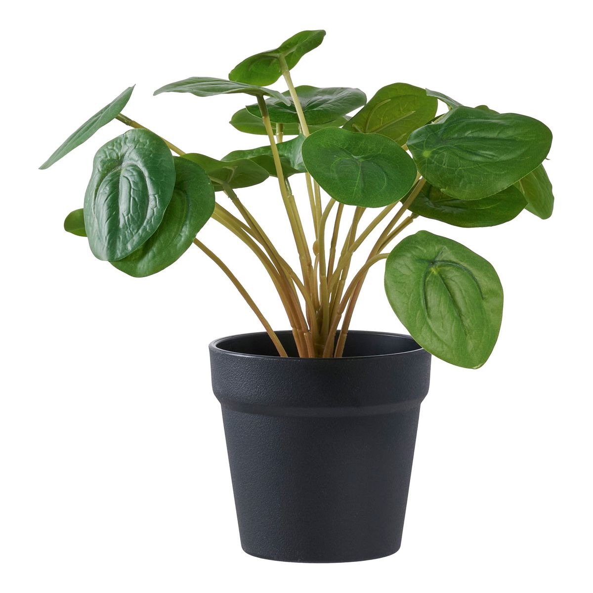 HOUSE NORDIC Pelia - Kunstig plante, grøn H:28 cm