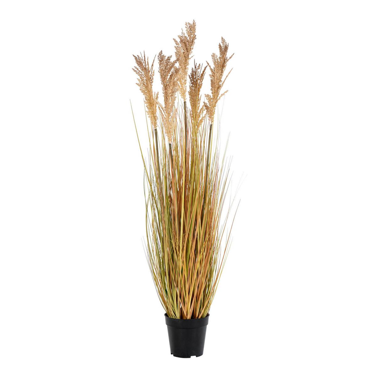 HOUSE NORDIC Sorghum Grass kunstig plante - natur PE plastik (H:110)