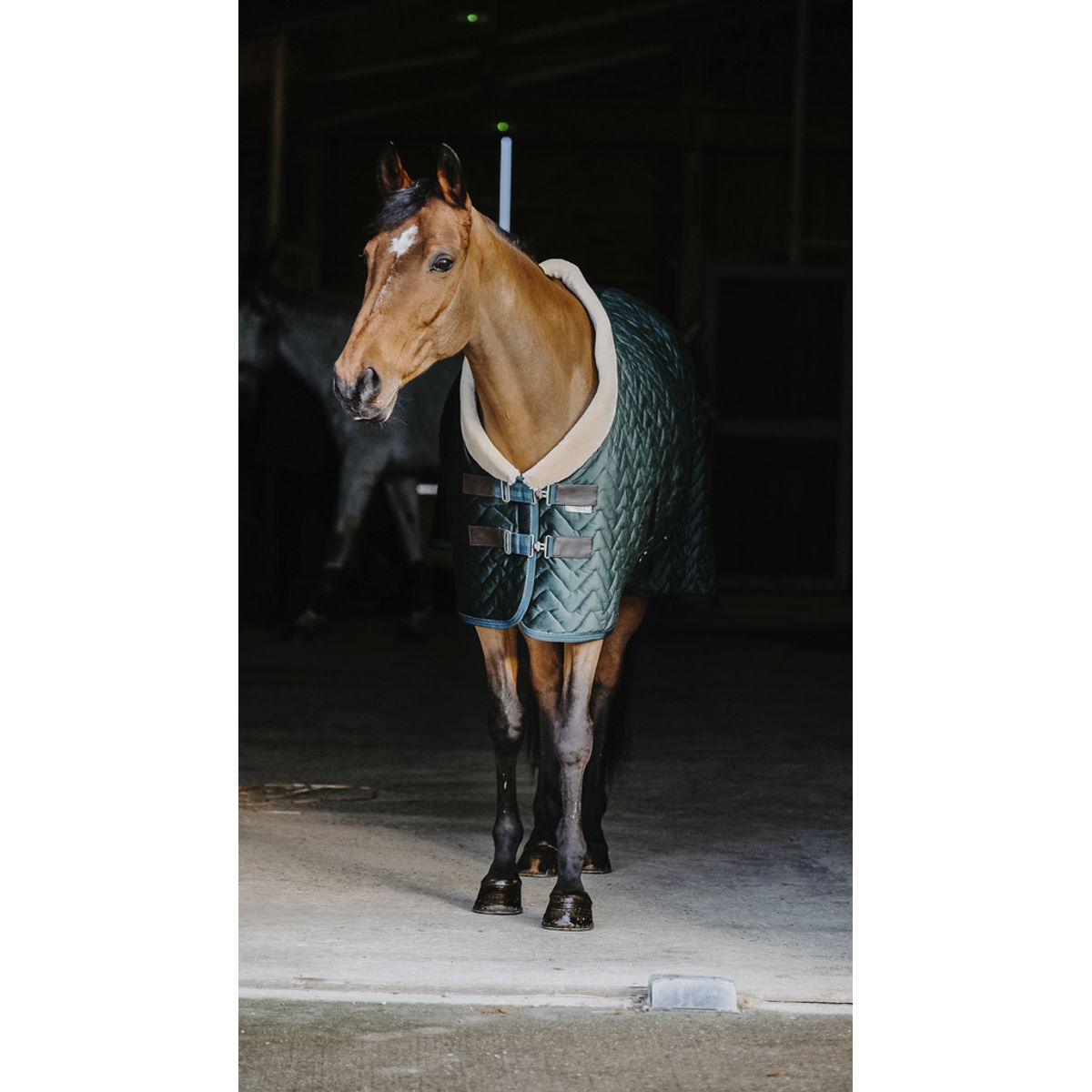 Equitheme showrug Grøn 135 cm