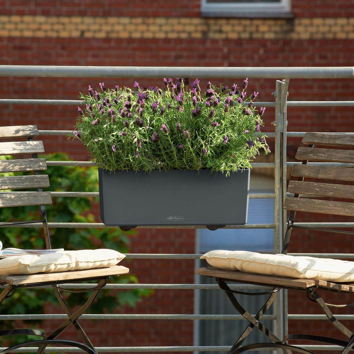 Lechuza Balconera Color udendørs krukke til blomster med selvvandingssystem Slate 50 x 19 x H19 cm