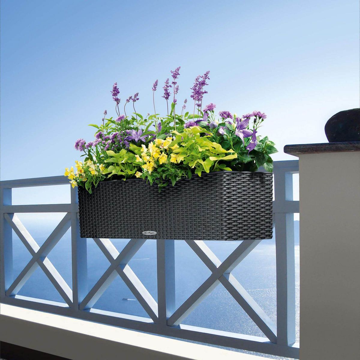 Lechuza Balconera Cottage udendørs krukke til blomster med selvvandingssystem Granit 80 x 19 x H19 cm