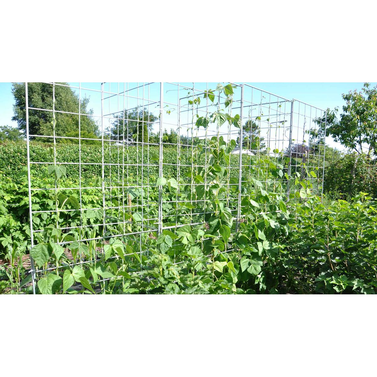 Espalier galvaniseret 91x105 cm